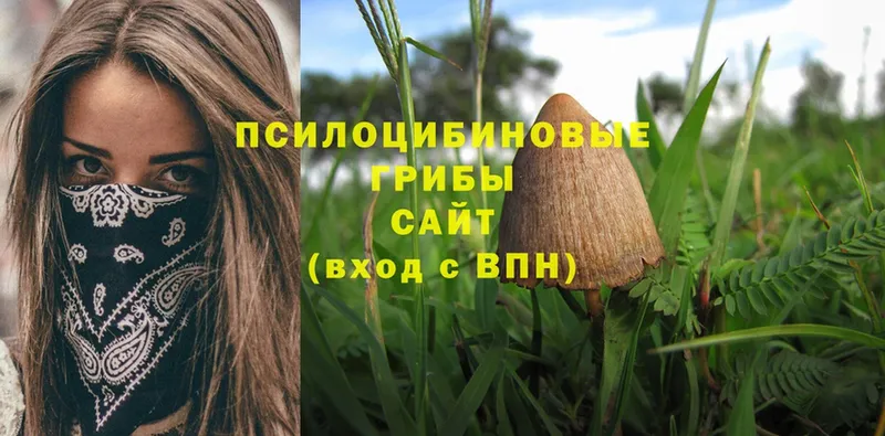 где купить наркоту  Осташков  Псилоцибиновые грибы Magic Shrooms 